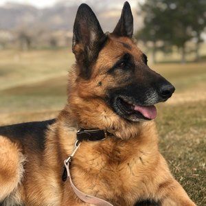 Meet your Posher, Nevin